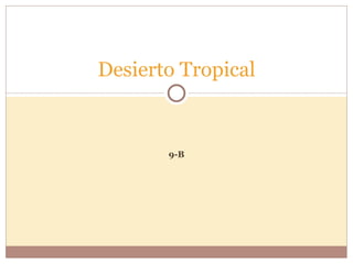 Desierto Tropical


       9-B
 