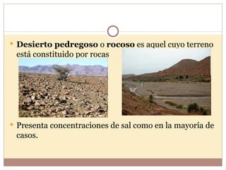  Desierto pedregoso o rocoso es aquel cuyo terreno
 está constituido por rocas




 Presenta concentraciones de sal como en la mayoría de
 casos.
 