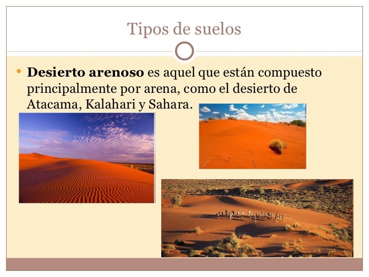 Desierto tropical