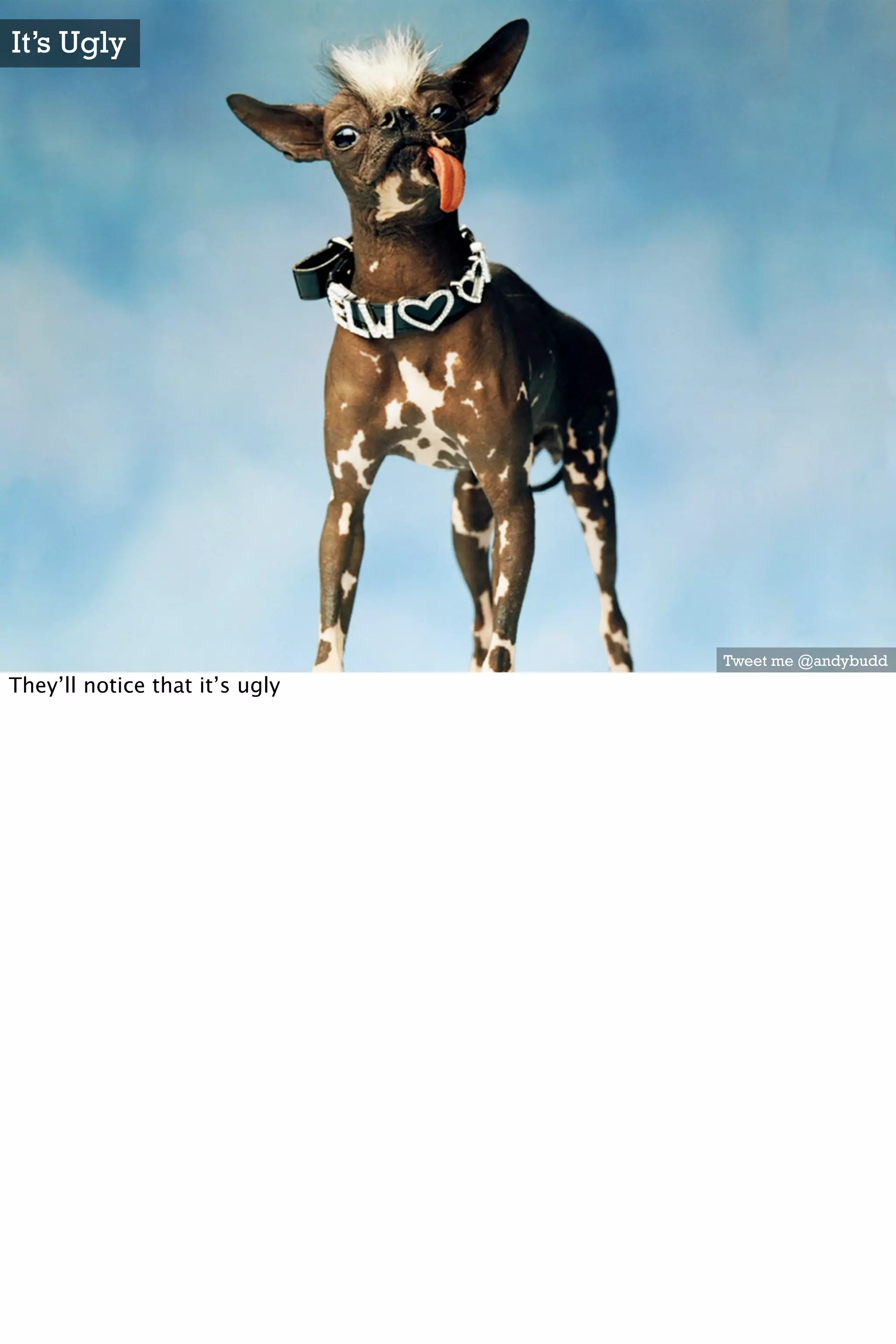 It’s Ugly




                                Tweet me @andybudd
They’ll notice that it’s ugly
 