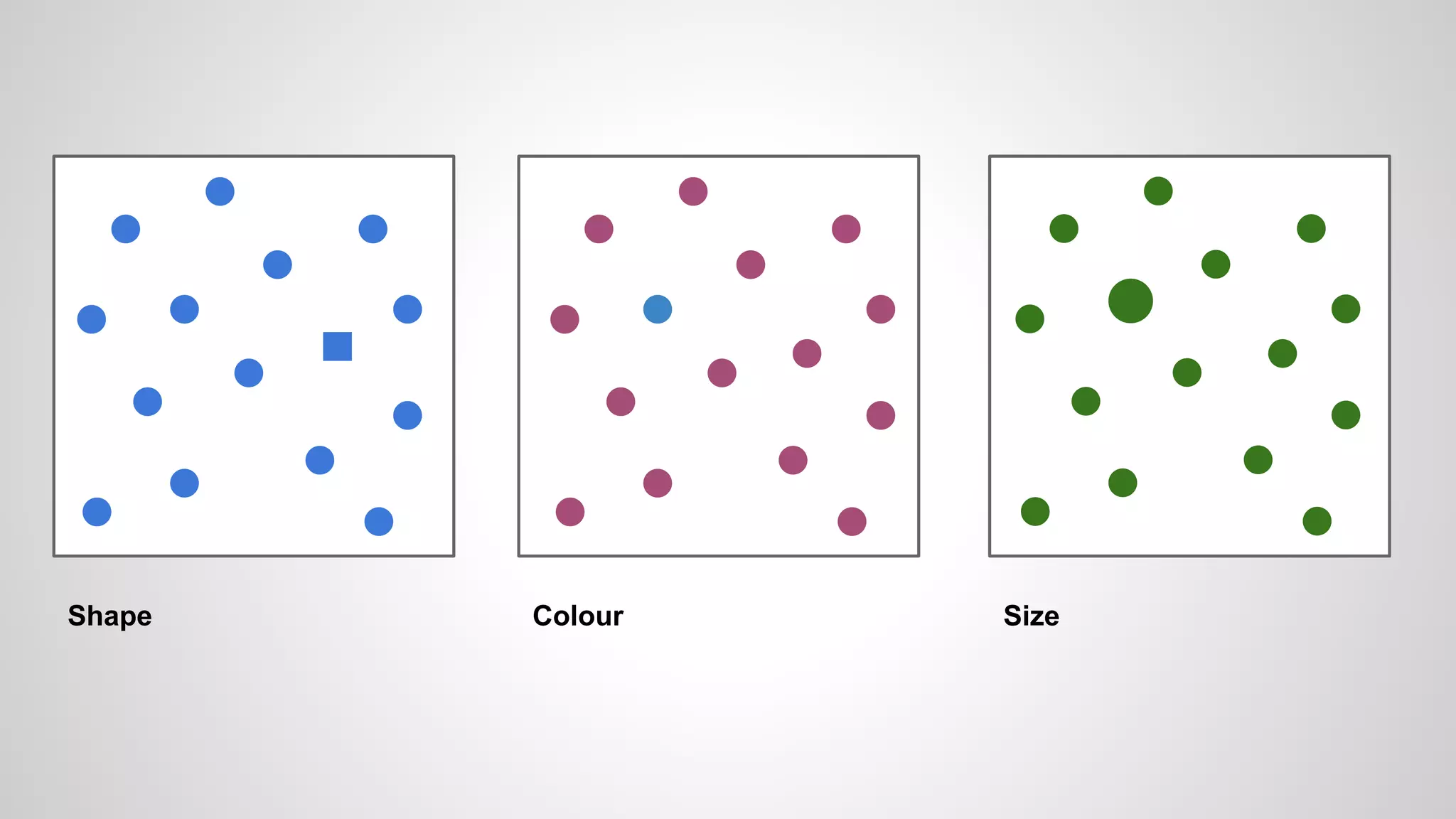 Shape Colour Size
 