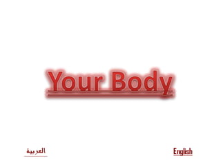 بسم الله الرحمن الرحيم Your Body 