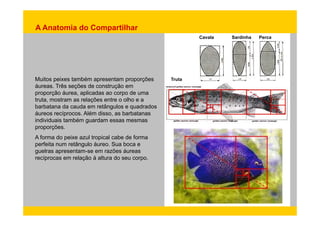 C l S di h P 
A Anatomia do Compartilhar 
Cavala Sardinha Perca 
Muitos peixes também apresentam proporções Truta 
áureas. Três seções de construção em 
proporção áurea, aplicadas ao corpo de uma 
truta, mostram as relações entre o olho e a 
barbatana da cauda em retângulos e quadrados 
áureos recíprocos. Além disso, as barbatanas 
individuais também guardam essas mesmas 
proporções. 
A forma do peixe azul tropical cabe de forma 
perfeita num retângulo áureo. Sua boca e 
guelras apresentam-se em razões áureas 
recíprocas em relação à altura do seu corpo. 
 
