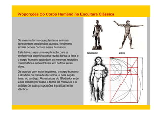 Proporções do Corpo Humano na Escultura Clássica 
Da mesma forma que plantas e animais 
apresentam proporções áureas, fenômeno 
similar ocorre com os seres humanos. 
Esta talvez seja uma explicação para a 
preferência cognitiva pela razão áurea: a face e 
Gladiador Zeus 
p g p 
o corpo humano guardam as mesmas relações 
matemáticas encontráveis em outros seres 
vivos. 
De acordo com este esquema, o corpo humano 
é dividido na metade da virilha, e pela seção 
área, no umbigo. As estátuas do Gladiador e de 
Zeus tomam por base a teoria de Vitruvius e a 
análise de suas proporções é praticamente 
idêntica. 
 