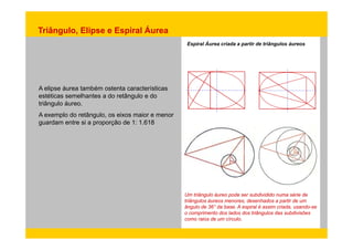 Triângulo, Elipse e Espiral Áurea 
Espiral Áurea criada a partir de triângulos áureos 
A elipse áurea também ostenta características 
estéticas semelhantes a do retângulo e do 
triângulo áureo. 
A exemplo do retângulo, os eixos maior e menor 
guardam entre si a proporção de 1: 1.618 
Um triângulo áureo pode ser subdividido numa série de 
triângulos áureos menores, desenhados a partir de um 
ângulo de 36° da base. A espiral é assim criada, usando-se 
o comprimento dos lados dos triângulos das subdivisões 
como raios de um círculo. 
 