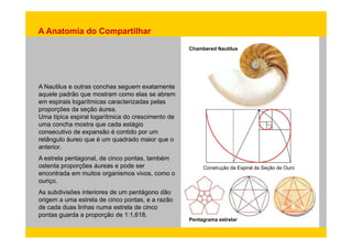 A Anatomia do Compartilhar 
Chambered Nautilus 
A Nautilus e outras conchas seguem exatamente 
aquele padrão que mostram como elas se abrem 
em espirais logarítmicas caracterizadas pelas 
proporções da seção áurea. 
Uma típica espiral logarítmica do crescimento de 
uma concha mostra que cada estágio 
consecutivo de expansão é contido por um 
retângulo áureo que é um quadrado maior que o 
anterior. 
A estrela pentagonal, de cinco pontas, também 
ostenta proporções áureas e pode ser 
encontrada em muitos organismos vivos, como o 
ouriço 
Construção da Espiral da Seção de Ouro 
ouriço. 
As subdivisões interiores de um pentágono dão 
origem a uma estrela de cinco pontas, e a razão 
de cada duas linhas numa estrela de cinco 
pontas guarda a proporção de 1:1,618. 
Pentagrama estrelar 
 