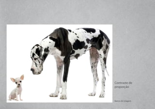 Contraste de
proporção
Banco de imagem
 