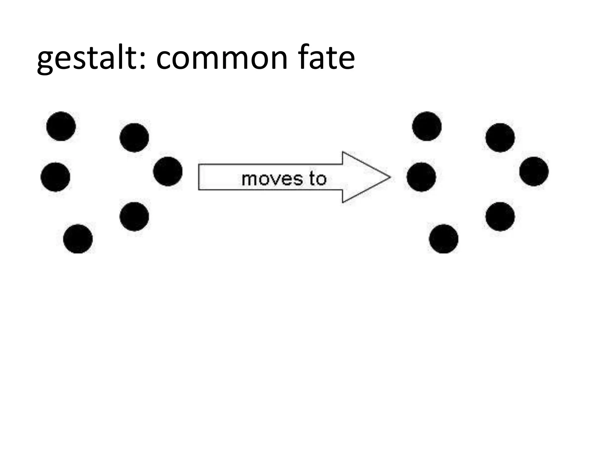 gestalt: common fate
 