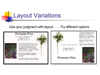 Layout Variations Use your judgment with layout  . . . Try different options 