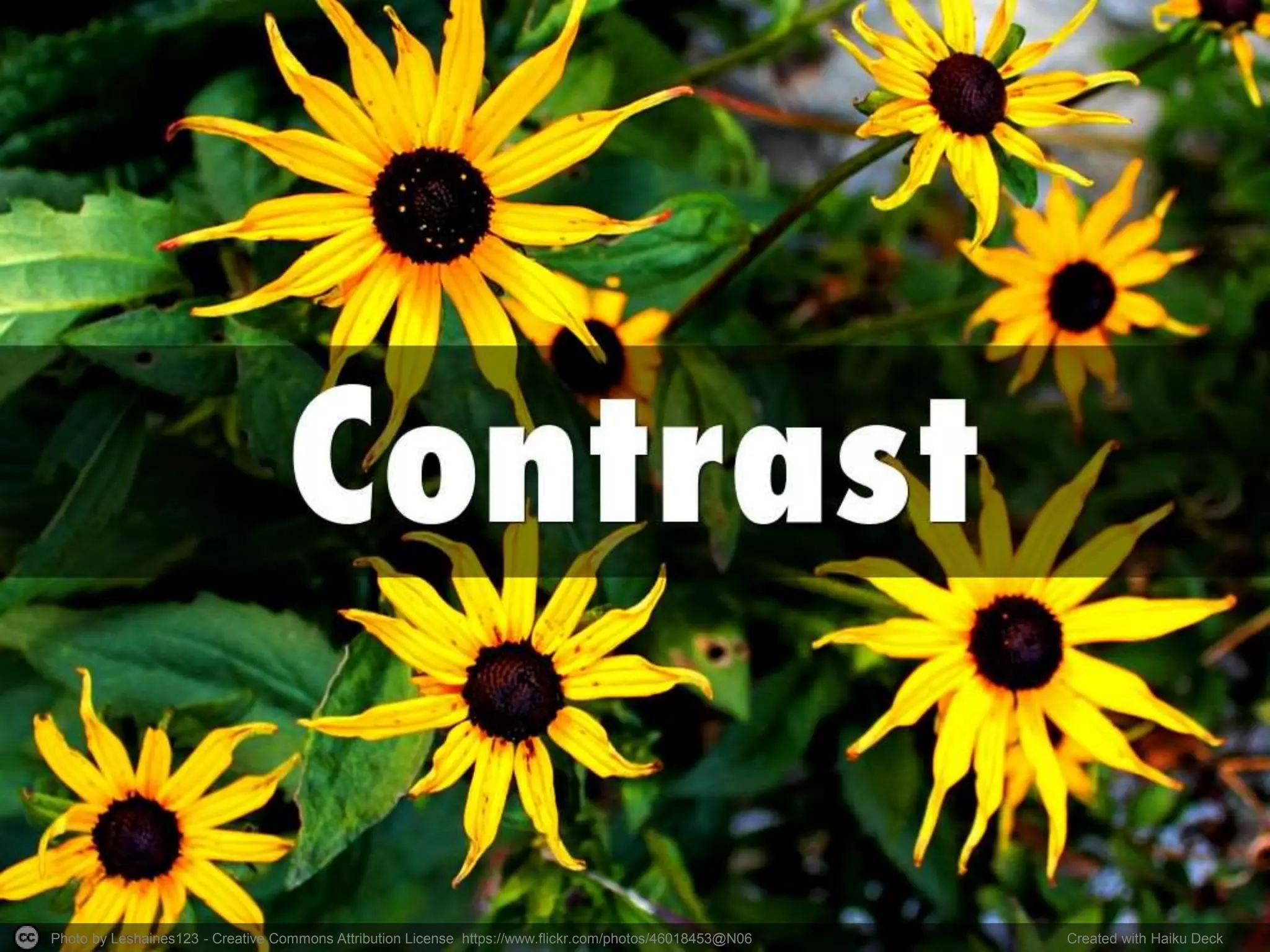 Photo by Leshaines123 - Creative Commons Attribution License https://www.flickr.com/photos/46018453@N06 Created with Haiku Deck