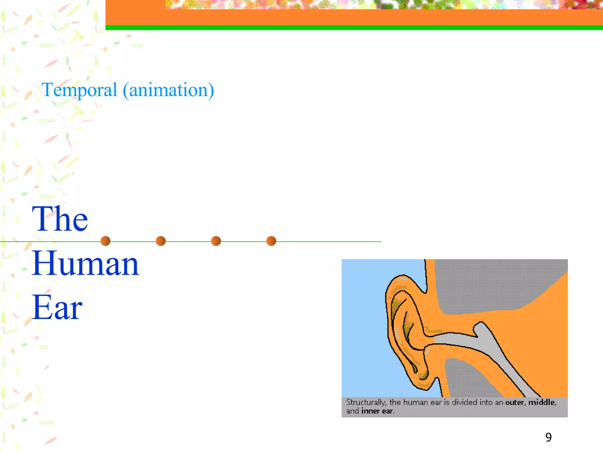 The  Human Ear Temporal (animation) 