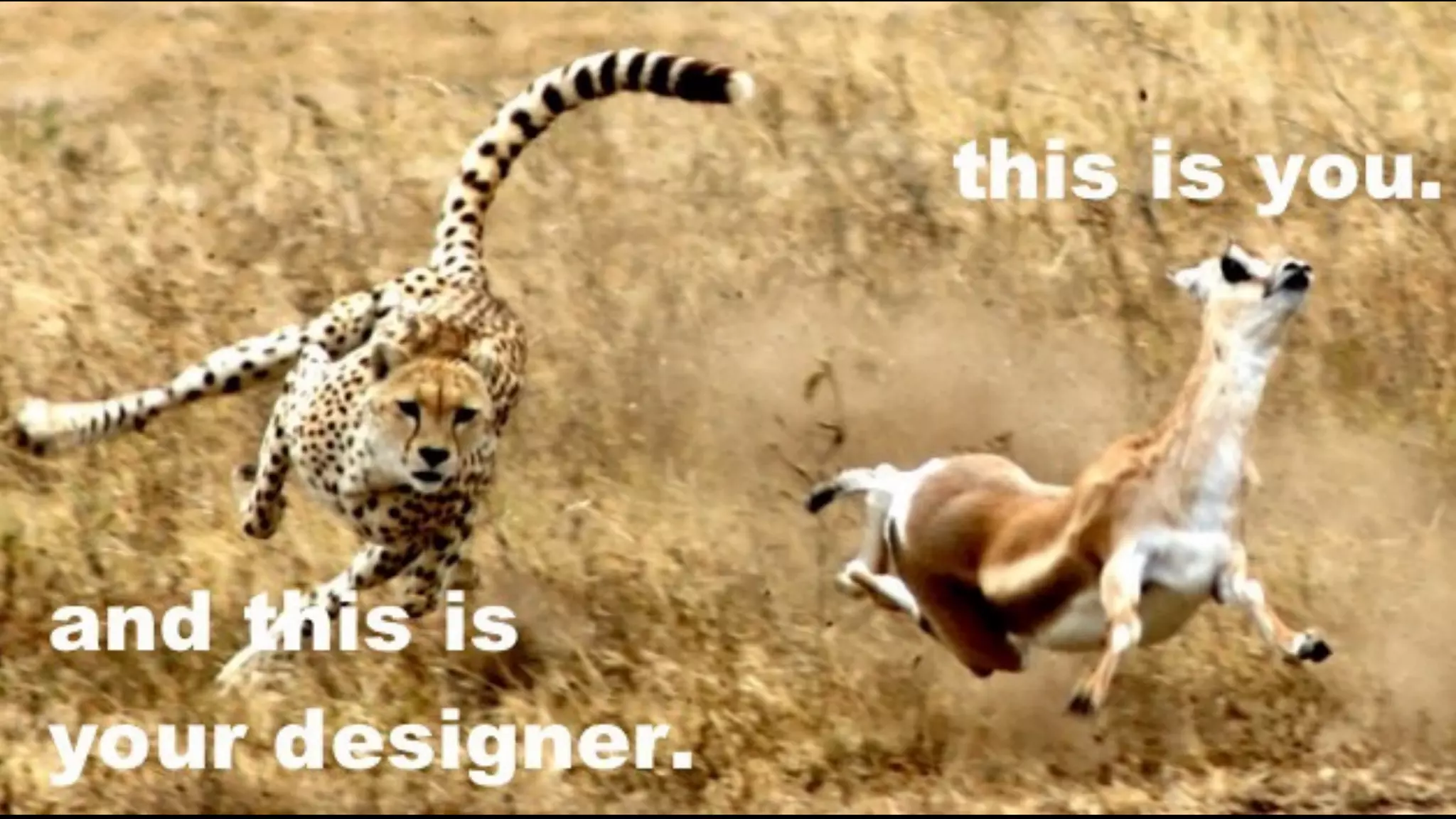 M I S C O N C E P T I O N A B O U T
D E S I G N
 