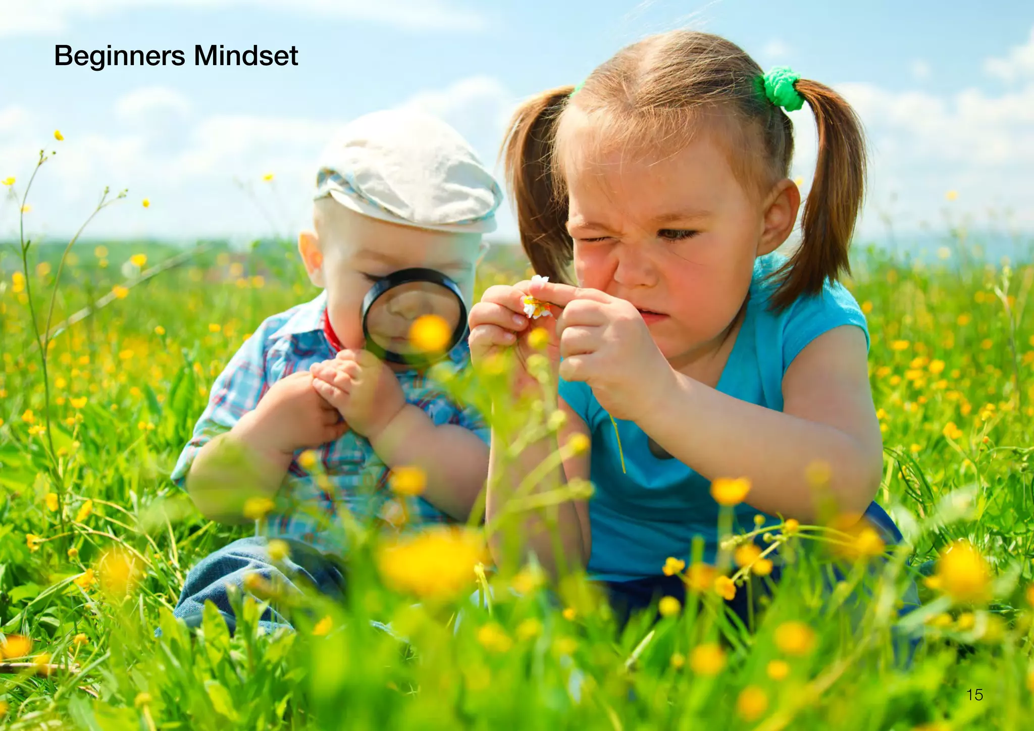 Beginners Mindset
15
 