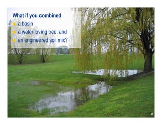 What if you combined
 a basin
 a water loving tree, and
 an engineered soil mix?




                             25
                            25
 