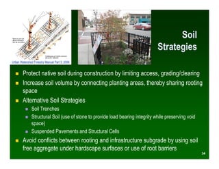 Soil
                                                                               Strategies
Urban Watershed Forestry Manual Part 3, 2006


        Protect native soil during construction by limiting access, grading/clearing
        Increase soil volume by connecting planting areas, thereby sharing rooting
        space
        Alternative Soil Strategies
              Soil Trenches
              Structural Soil (use of stone to provide load bearing integrity while preserving void
              space)
              Suspended Pavements and Structural Cells
        Avoid conflicts between rooting and infrastructure subgrade by using soil
        free aggregate under hardscape surfaces or use of root barriers
                                                                                                      34
 