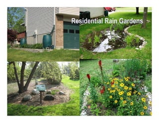 Residential Rain Gardens




                           54
 