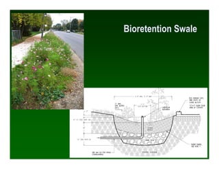 Bioretention Swale




                     55
 