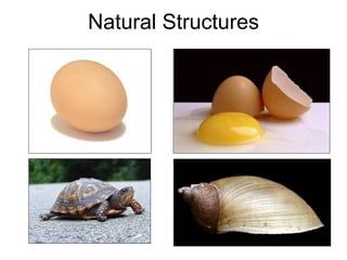 Design 3 2011 - Design Lecture Structures | PPT
