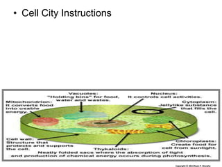 • Cell City Instructions
Copyright © 2010 Ryan P. Murphy
 