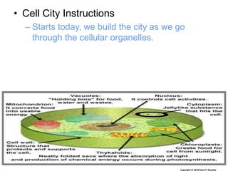 • Cell City Instructions
– Starts today, we build the city as we go
through the cellular organelles.
Copyright © 2010 Ryan P. Murphy
 