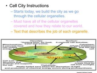• Cell City Instructions
– Starts today, we build the city as we go
through the cellular organelles.
– Must have all of the cellular organelles
covered and how they relate to our world.
– Text that describes the job of each organelle.
Copyright © 2010 Ryan P. Murphy
 