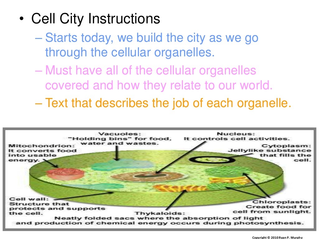 Design a cell city