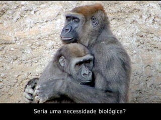 Design Afetivo e Reificação