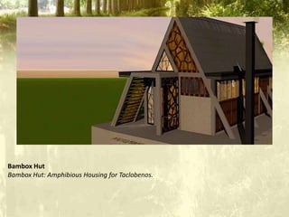 Bambox Hut
Bambox Hut: Amphibious Housing for Taclobenos.
 