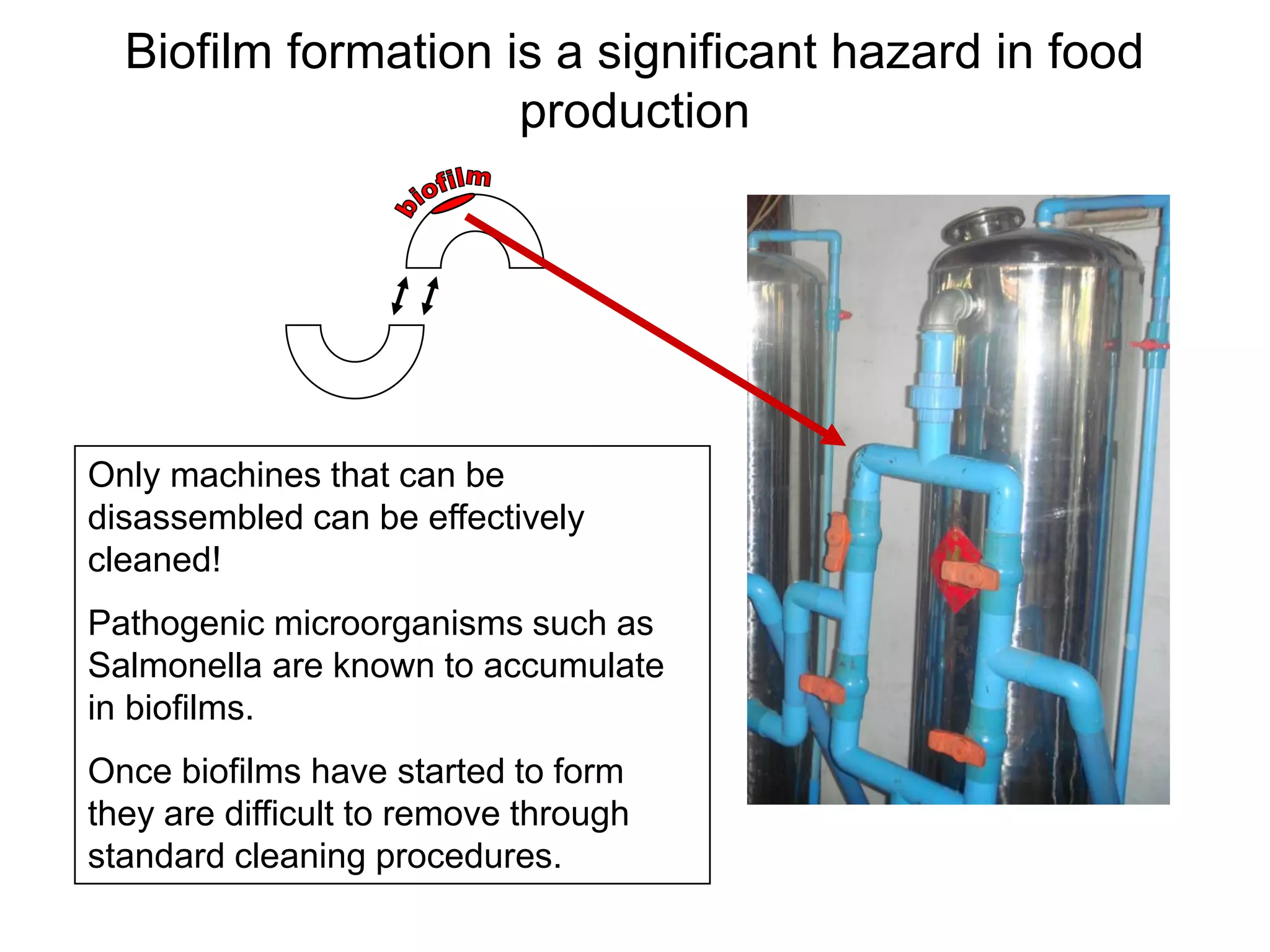 Biofilm formation is a significant hazard in food
production
Only machines that can be
disassembled can be effectively
cleaned!
Pathogenic microorganisms such as
Salmonella are known to accumulate
in biofilms.
Once biofilms have started to form
they are difficult to remove through
standard cleaning procedures.
 