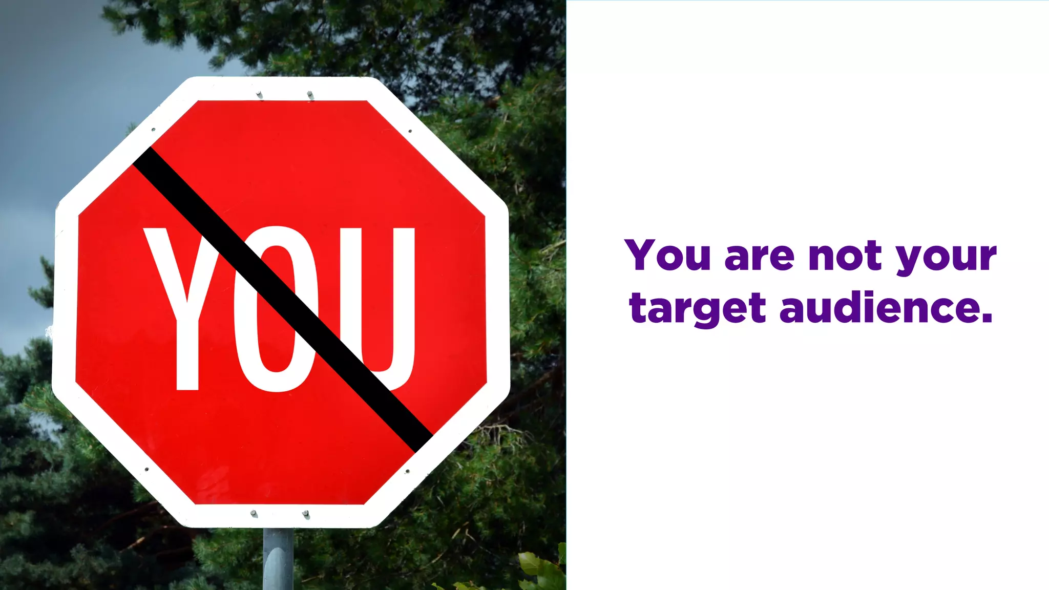 You are not your
target audience.
 