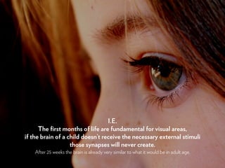 Design & Neuroscience - The Brain | PDF