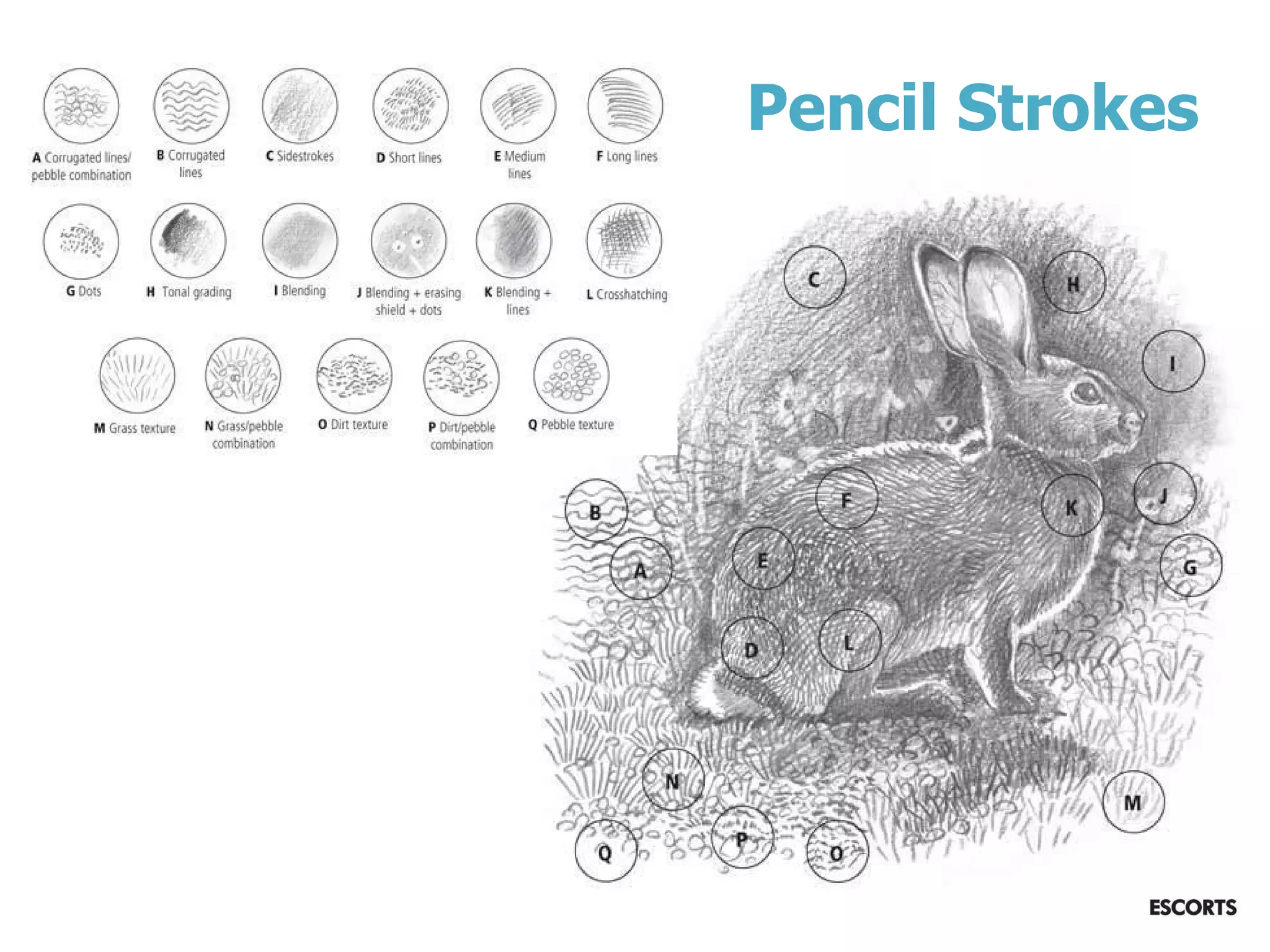 Pencil Strokes
 