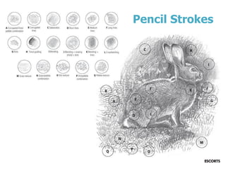 Pencil Strokes
 