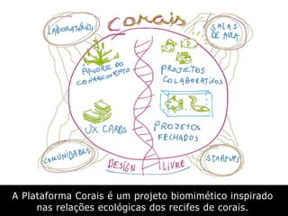A Plataforma Corais é um projeto biomimético inspirado
nas relações ecológicas dos recifes de corais.
 