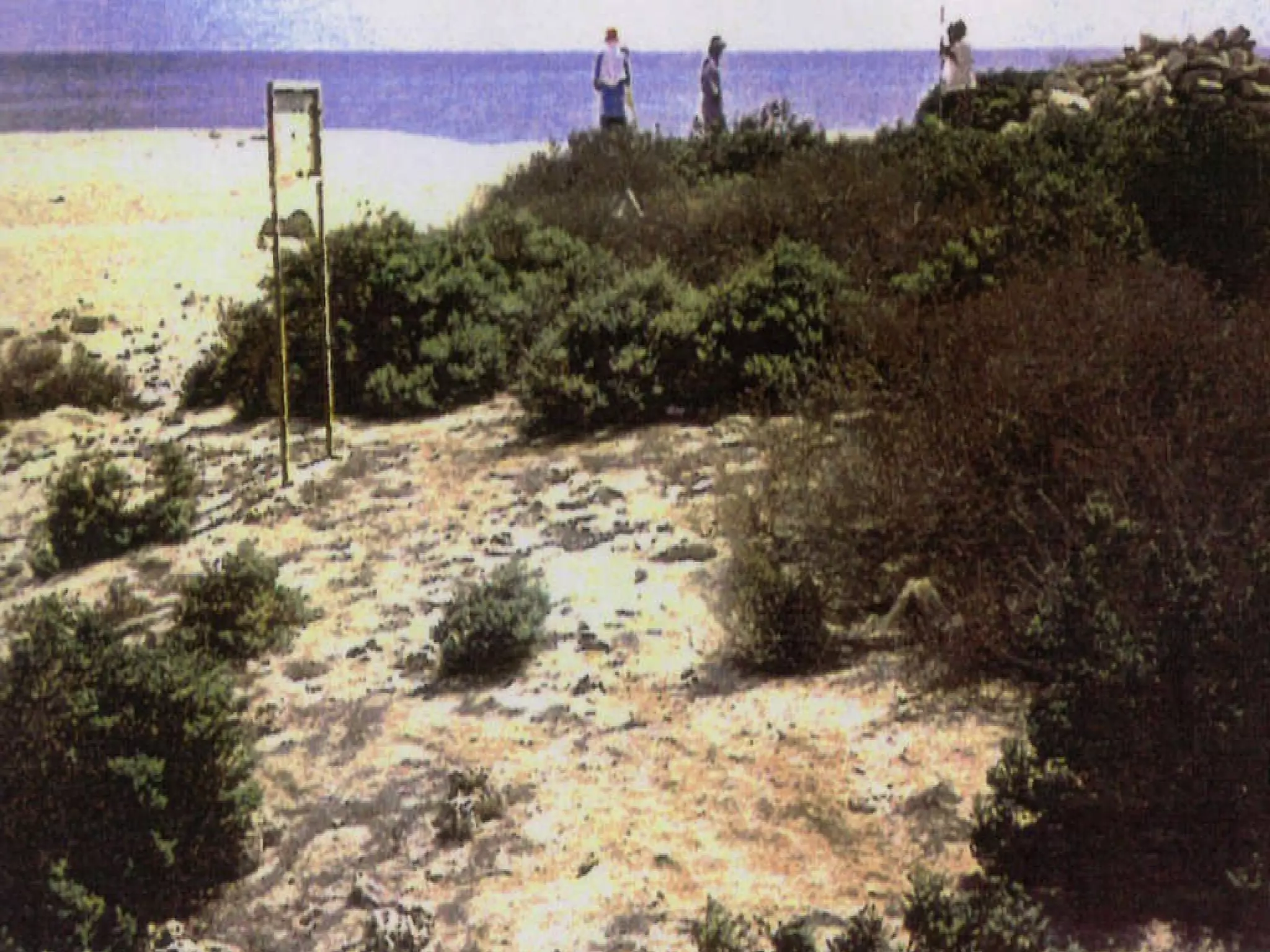 Final Project Design of a Visitors' Center in Um Al-Maradim Island text 