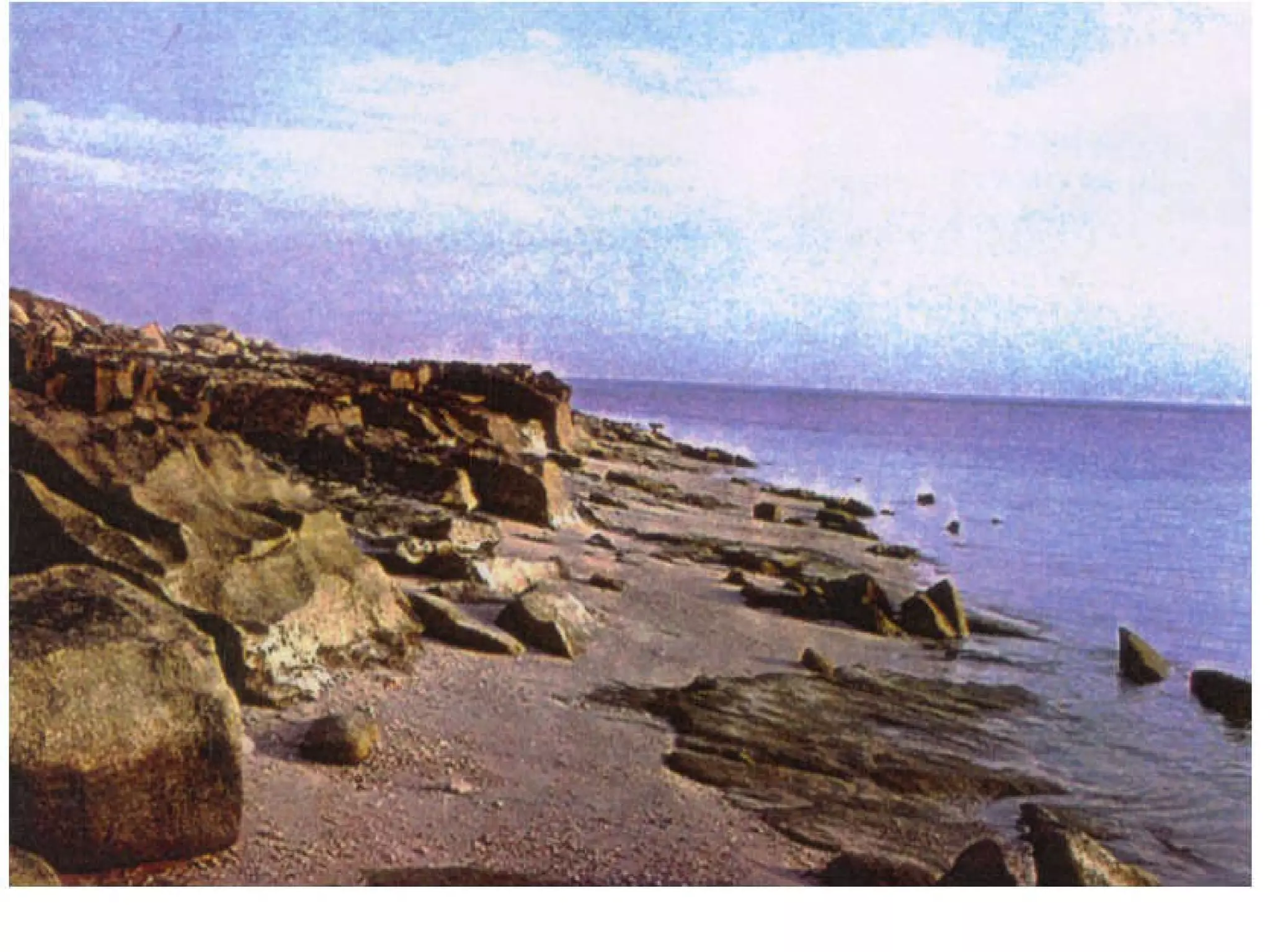 Final Project Design of a Visitors' Center in Um Al-Maradim Island text 