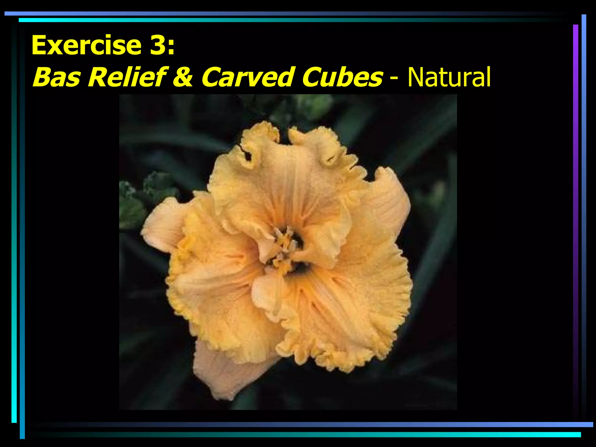 Exercise 3: Bas Relief & Carved Cubes  - Natural 