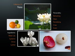 ©ܱܲǲԱ2007
Collection 01:
Naia
Ingredients:
Water Lily
Cyclamin
Citrus
Lychee
Personality:
Refreshing
Clean
Revitalizing
Crisp
Green
 