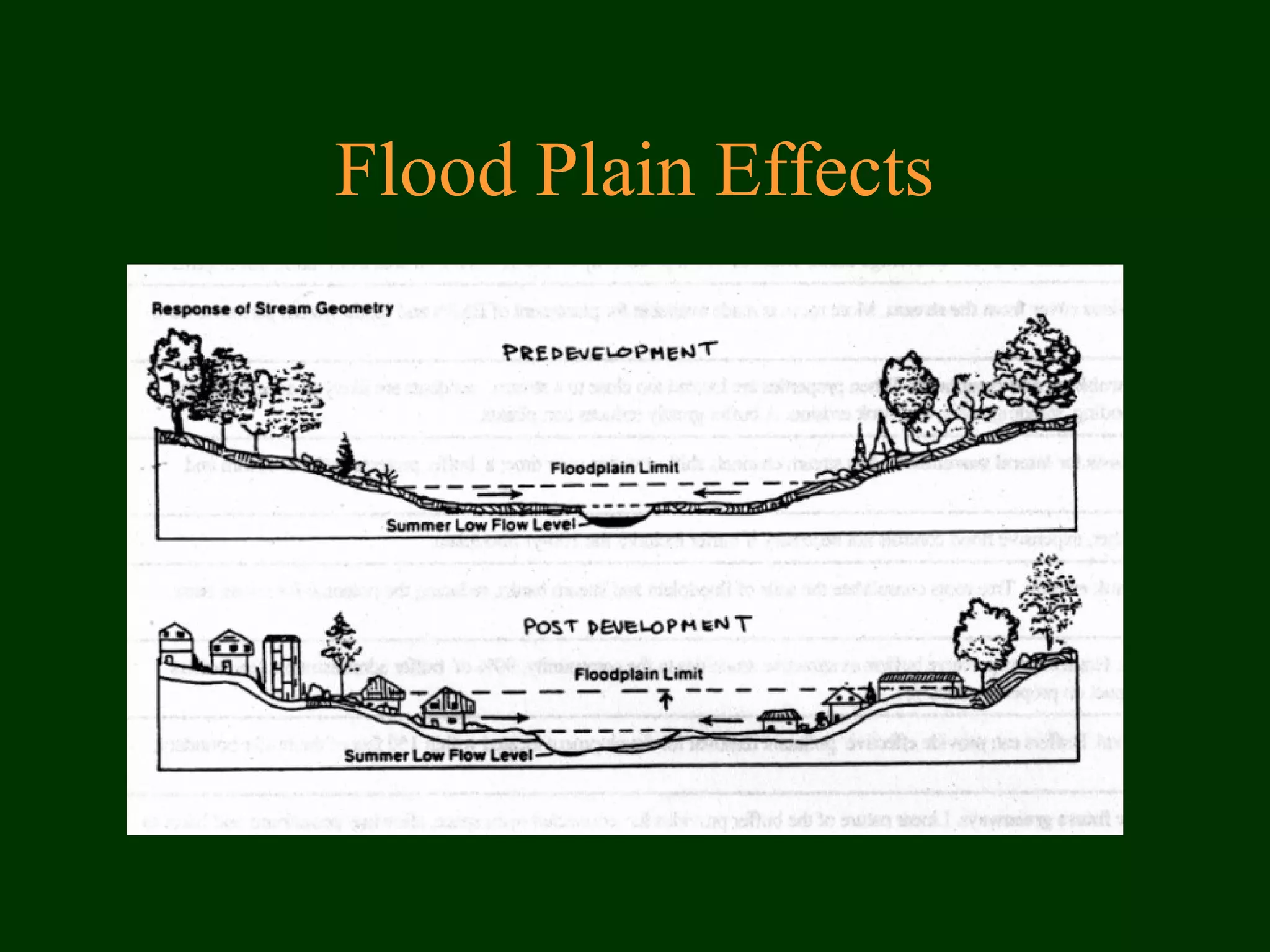 Flood Plain Effects
 