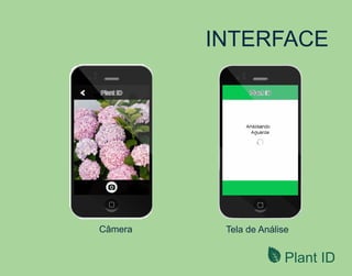 Plant ID
INTERFACE
Câmera Tela de Análise
li
 
