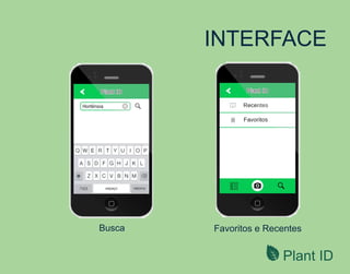 Plant ID
INTERFACE
Busca Favoritos e Recentes
 
