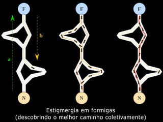 Estigmergia em formigas
(descobrindo o melhor caminho coletivamente)
 