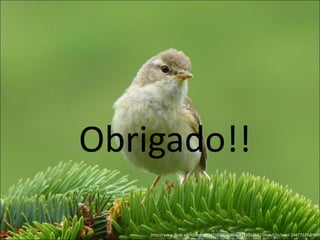 Obrigado!!

    http://www.flickr.com/photos/44732300@N04/4718162647/sizes/l/in/pool-14477233@N00
 
