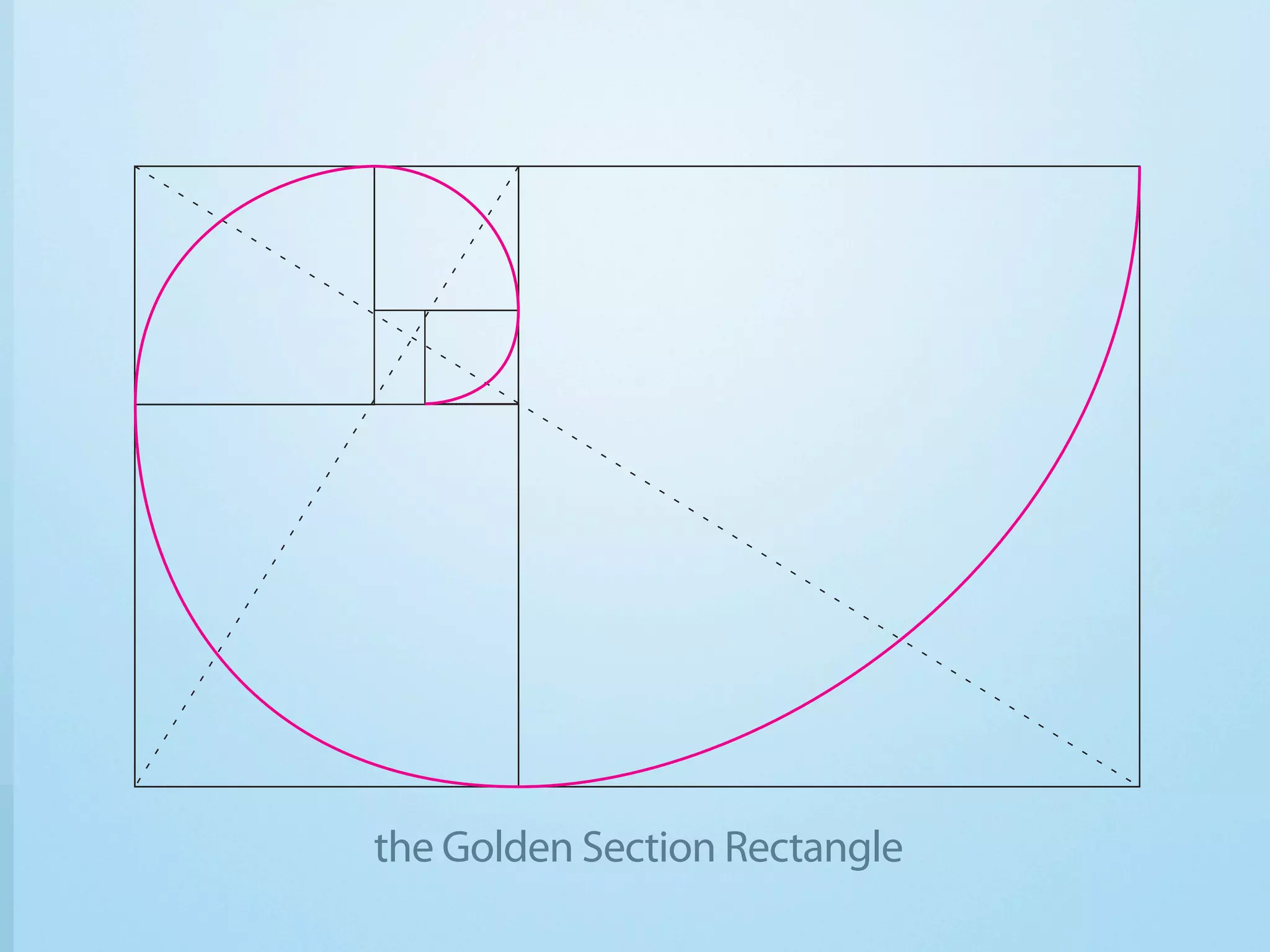 the Golden Section Rectangle
 