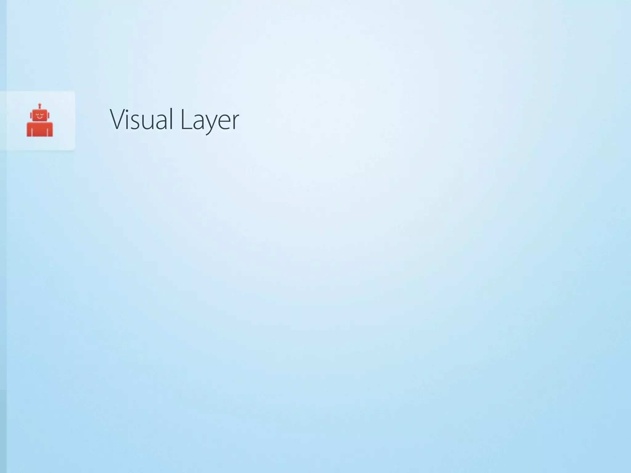 Visual Layer
 