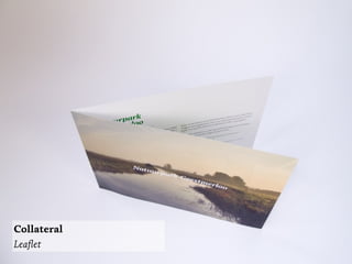 Collateral
Leaﬂet
 