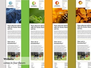 Website
comes in four ﬂavors
 