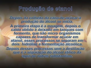 Produção de etanolDepois da colheita da cana-de-açúcar a produção do álcool se inicia. A primeira etapa é a moagem, depois o caldo obtido é deixado em tanques com fermento, que são micro organismos capazes de transformar açúcar em etanol, esses processos se separam em dois: hidrólise e fermentação alcoólica.Depois desses processos vem a destilação que é a separação do álcool etílico da água ou outras substancias.  