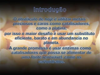 IntroduçãoO obstáculo de hoje é utilizar metais preciosos e caros como catalisadores, como a platina, por isso o maior desafio é usar um substituto eficiente, barato e em abundancia no planeta. A grande promessa é usar enzimas como catalisadores que possa se alimentar de uma fonte renovável, como os carboidratos.