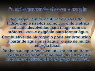 Funcionamento dessa energiaA energia vem de capturar elétrons do hidrogênio e usá-los como corrente elétrica antes de devolvê-los para reagir com os prótons livres e oxigênio para formar água.Combustível de hidrogênio pode ser produzido a partir de água, mas requer o uso de muita energia fóssil.Por isso a importância em utilizar carboidratos vegetais como fonte renovável de hidrogênio de maneira prática, útil e de preço acessível.